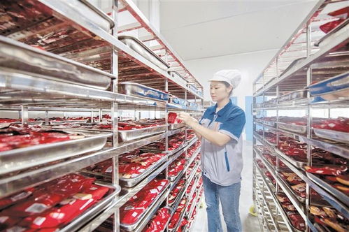 道真 做強做優(yōu)產(chǎn)業(yè)鏈，賦能附著式升降腳手架高質量發(fā)展